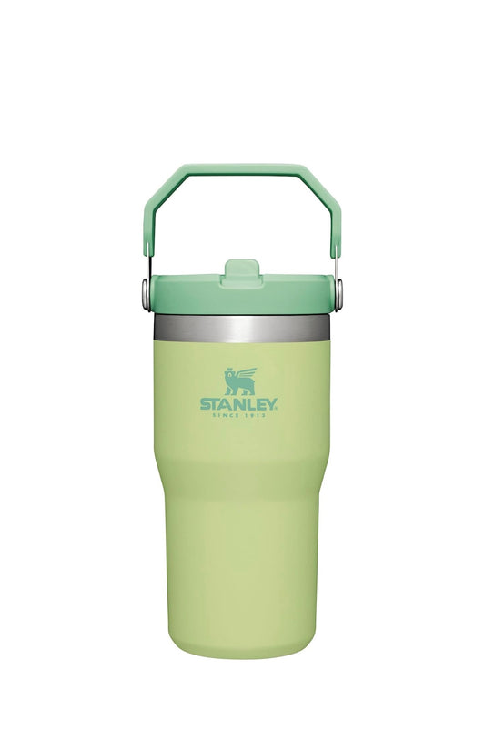 Stanley Flip straw Tumbler