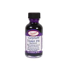 GENTION VIOLET PAINT 30ML